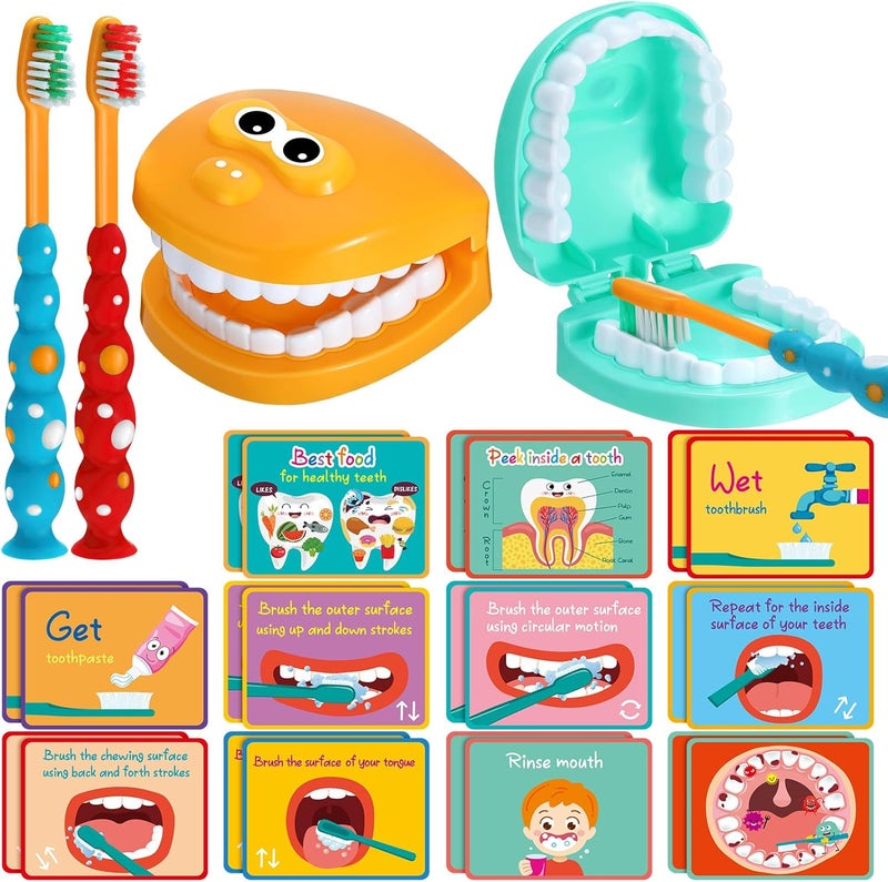 Skylety مجموعة ألعاب طبيب الأسنان 2 مجموعة نموذج أسنان مع فرشاة أسنان بطاقات تعليمية حجم قياسي نموذج تقويم الأسنان المزيف (أسلوب لطيف) - Image 1